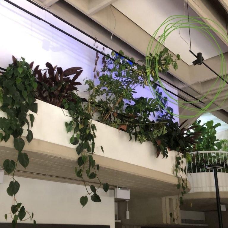 Jardín oficinas Madrid